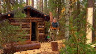 I built a hut in the wild forest. From start to finish. First experience.