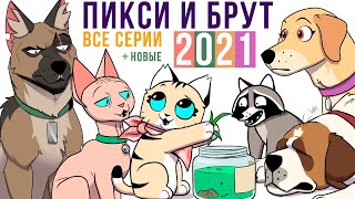 ПИКСИ И БРУТ. ВСЕ КОМИКСЫ 2021 (+новые) | Мемозг 886