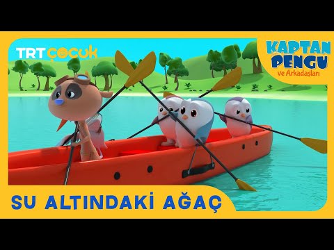 KAPTAN PENGU VE ARKADAŞLARI | SU ALTINDAKİ AĞAÇ