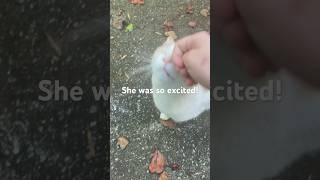 Stray Cat was SO Happy When She Saw Me!