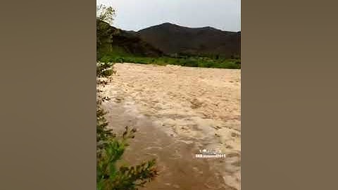 تلاوة خاشعة      من سورة يوسف    للقارئ موسى الخالدي