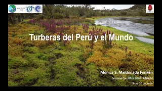 Turberas del Peru y el mundo - Nexus UNALM