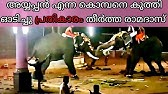 Thechikottukavu Ramachandran Thechikottukavu Ramachandran Attack Elephant Attack Kgf2 Youtube