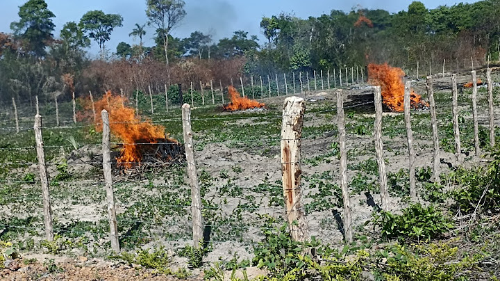 TERMINANDO DE LIMPAR O LOTE E QUEIMANDO AS COIVARAS