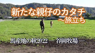 「新たな親仔のカタチ 旅立ち」馬産地の秋2022～谷岡牧場