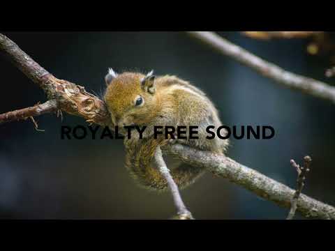 Glass Break - Royalty Free Sound Effect