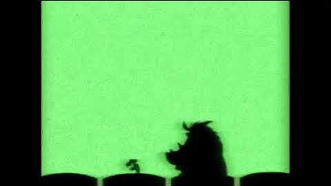 Timon and Pumbaa Interrupt 6 (VHS)