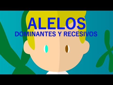 ALELOS RECECIVOS Y DOMINANTES // EXPLICACIÓN FÁCIL
