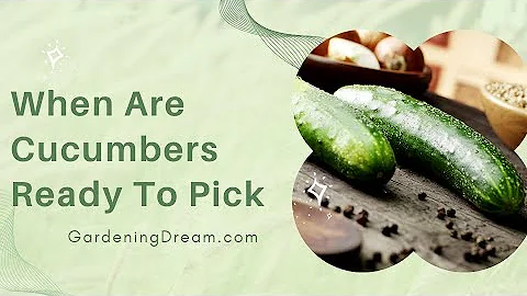 When Are Cucumbers Ready To Pick - DayDayNews