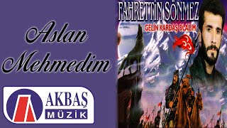 Fahrettin Sönmez - Aslan Mehmedim Resimi