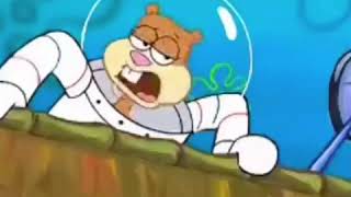 Sandy No You Ain’t Spongebob - Stan Twitter