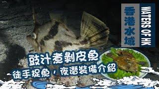 【漁人推介】香港水域 阿火帶你夜潛落海捉剝皮魚/沙孟 介紹夜潛基本裝備 教大家煮豉汁剝皮魚 食譜 Catch And Cook Recipe Seafood 【漁人推介】香港水域 阿火帶你夜潛落海捉剝皮魚/沙孟 介紹夜潛基本裝備 教大家煮豉汁剝皮魚 食譜 Catch And Cook Recipe Seafood