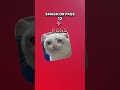fofo memem baby cat