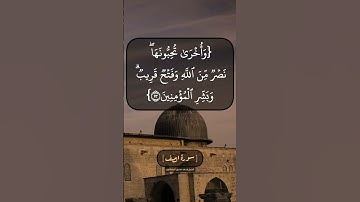 سورة الصف الآية ١٢ و ١٣ بصوت الشيخ محمد صديق المنشاوي