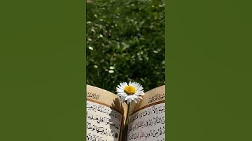 سورة العنكبوت بصوت الشيخ ياسر الدوسري #quran #القرآن_الكريم #تلاوة_هادئة #تلاوة_خاشعة #ياسر_الدوسري