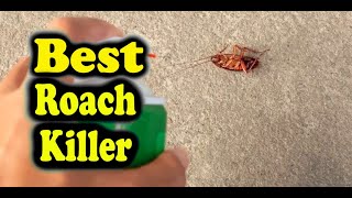 Consumer Reports Best Roach Killer : The Top 5