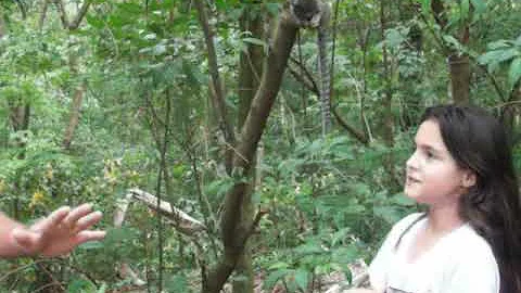 Como se chama essa intervenção do homem na natureza?
