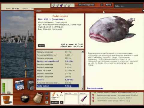 глубоководная рыба psychrolutes marcidus. психролютовые рыба-капля. реальная рыбалка рыба капля. психролютовые рыба-капля. рыба капля семейства психролютовые.