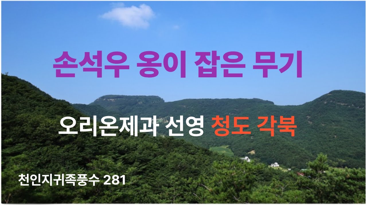 손석우 옹이 잡은 무기 / 오리온제과 선영 청도 각북 /천인지귀족풍수 281