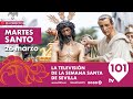  en directo  martes santo  de 0900 a 2030  semana santa sevilla  26 marzo 2024