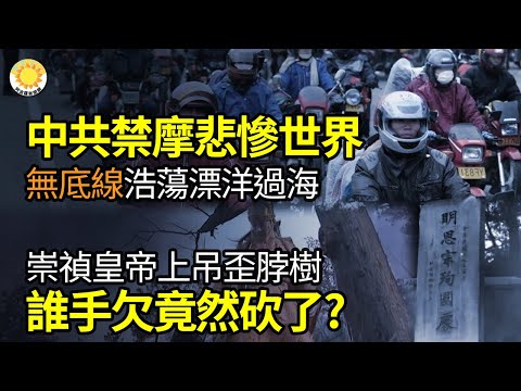 🔥中共禁摩悲惨世界 无底线浩荡漂洋过海；谁手欠 砍了崇祯上吊的歪脖树？CPI创记录最大跌幅 情况越来越危险…坐拥尖端万能武器！立陶宛敢挑战中俄；面对中共威胁 澳将把主力舰队规模扩充一倍【阿波罗网FS】