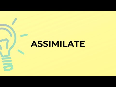 What is the meaning of the word ASSIMILATE?