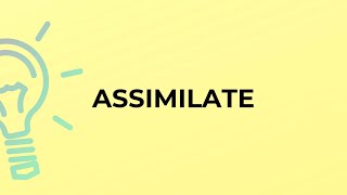 What is the meaning of the word ASSIMILATE?