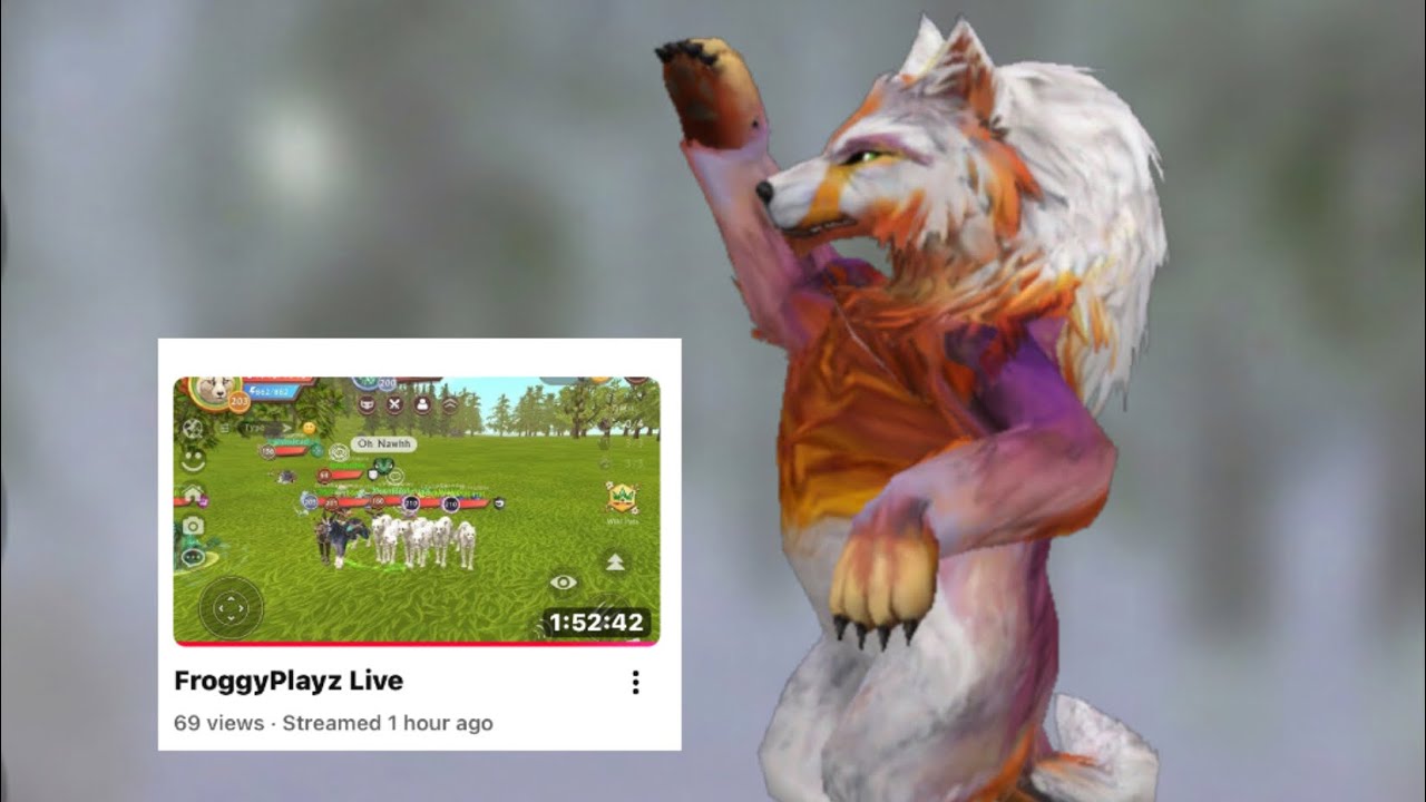 Playing with Froggy while he is livestreaming