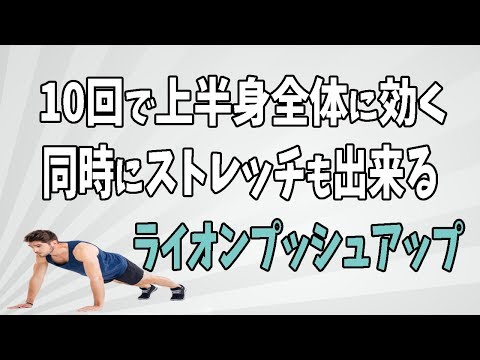 ENG/한 ) 【10回】胸筋と上腕に効いてストレッチも出来るライオンプッシュアップ