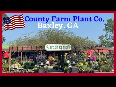 County Farm Plant, Baxley Ga