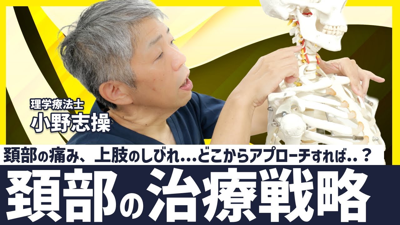 わかりにくいからこそ、１つ１つ！頚部痛や上肢のしびれの、原因の見極め方【小野志操先生】