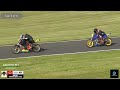 Sat Race17 TB500