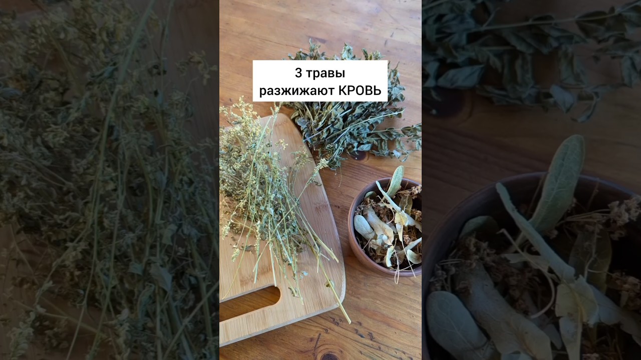3 травы разжижающие кровь 