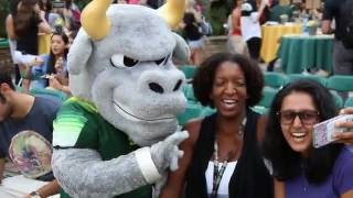 USF Homecoming 2016