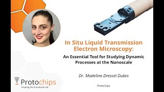 In Situ Liquid TEM: An Essential Tool for Studying Dynamic Processes at the Nanoscale