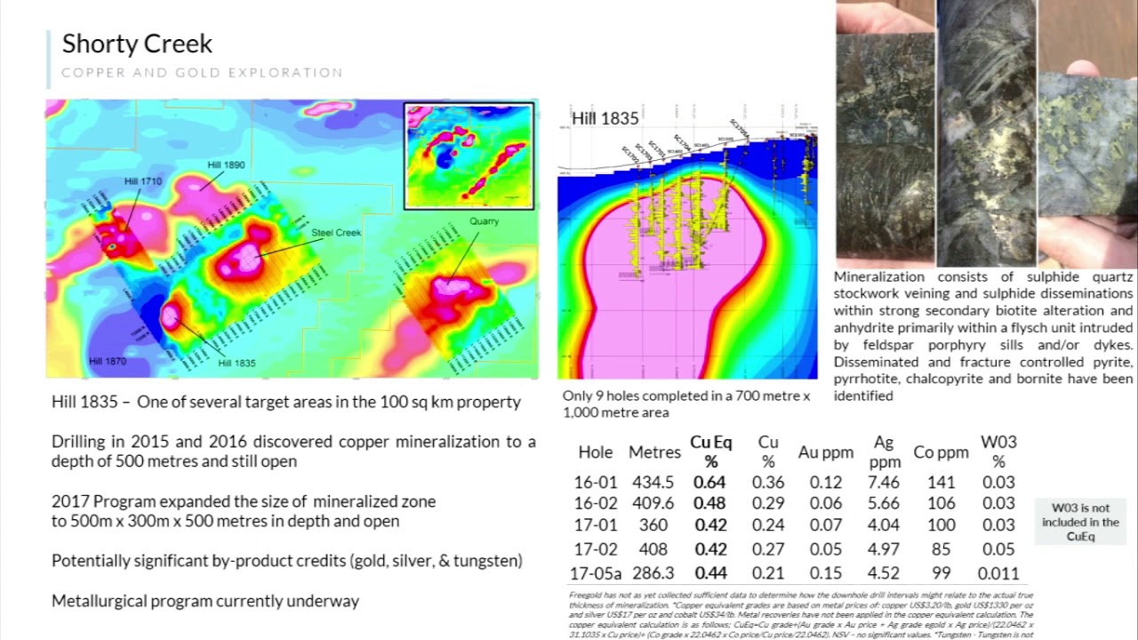 Kristina Walcott, President and CEO, Freegold Ventures