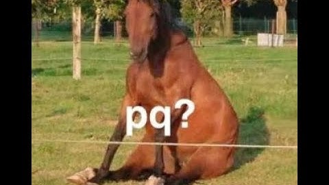 Minecraft RustV2:Op red duel schwein vs Dvasinkas (quickdropped!?)