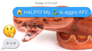 Aggressive/Defensive Snake? Watch How to PROPERLY Use A Snake Hook Profile