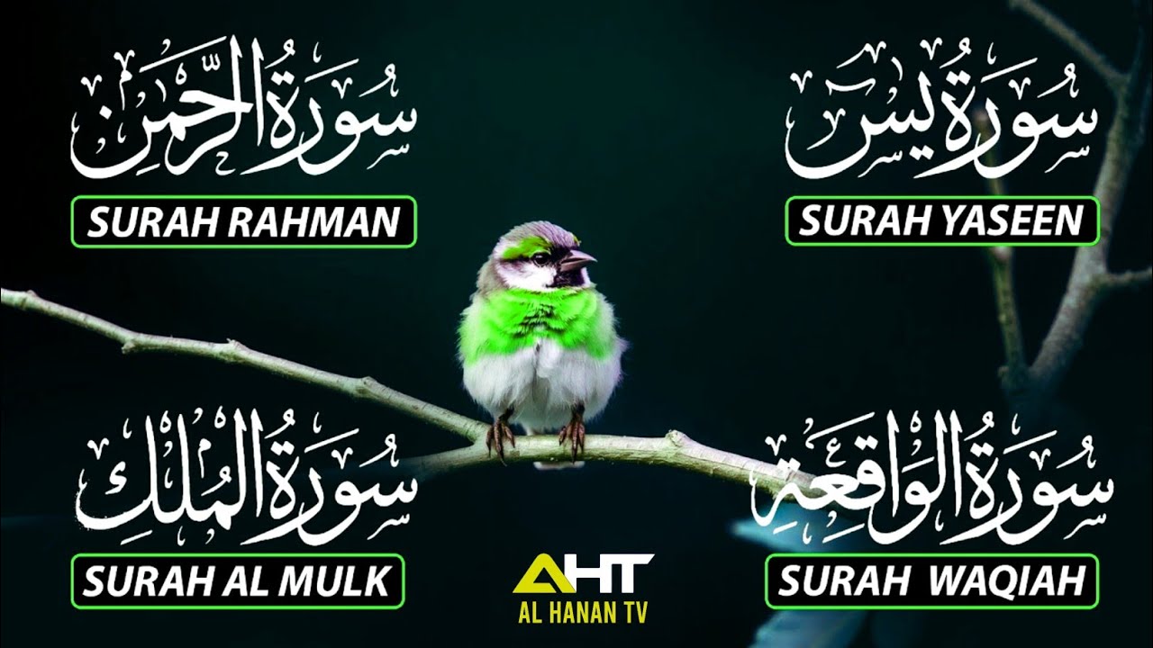 Magical Recitation Surah Yaseen (Yasin) | Surah Rahman | Surah Waqiah | Surah Mulk