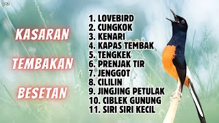 Download Lagu 🔴 KOMPLIT KASARAN TEMBAKAN MASTERAN MURAI BATU GACOR MP3 Download Lagu 🔴 KOMPLIT KASARAN TEMBAKAN MASTERAN MURAI BATU GACOR MP3