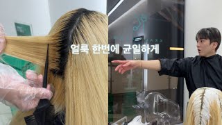 두피 고통 없이 뿌리 탈색 한 번에 균일하게 맞춰보겠습니다!