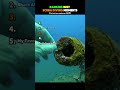 Ranking Best Scuba Diving Moments