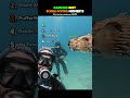 Ranking Best Scuba Diving Moments