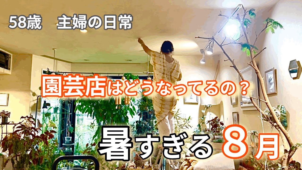 暑い！植物はヘロヘロ。園芸店の植物が気になる。石削ったり、蜂拾ったり　８月、こんな感じに生きています