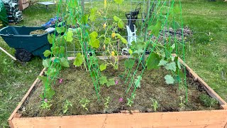 It’s Planting Time and Pouring beeswax Candles