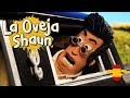 Caradura - La Oveja Shaun - Temporada 5 - Episodio completo [Shaun the Sheep Season 5]