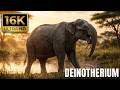 [16K] 데이노테리움! 약 200만 년 전 멸종 마이오세 거대 원시 코끼리 Deinotherium giganteum