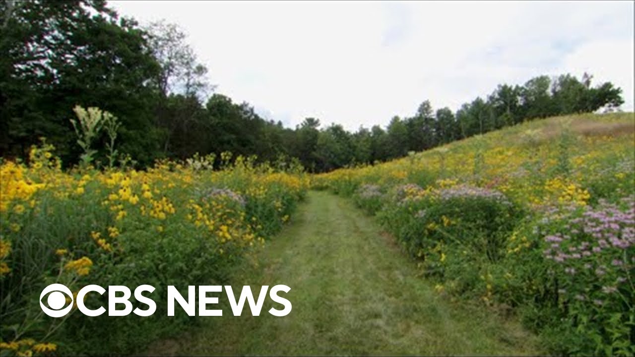 On the Road with Steve Hartman: Amazing Earth