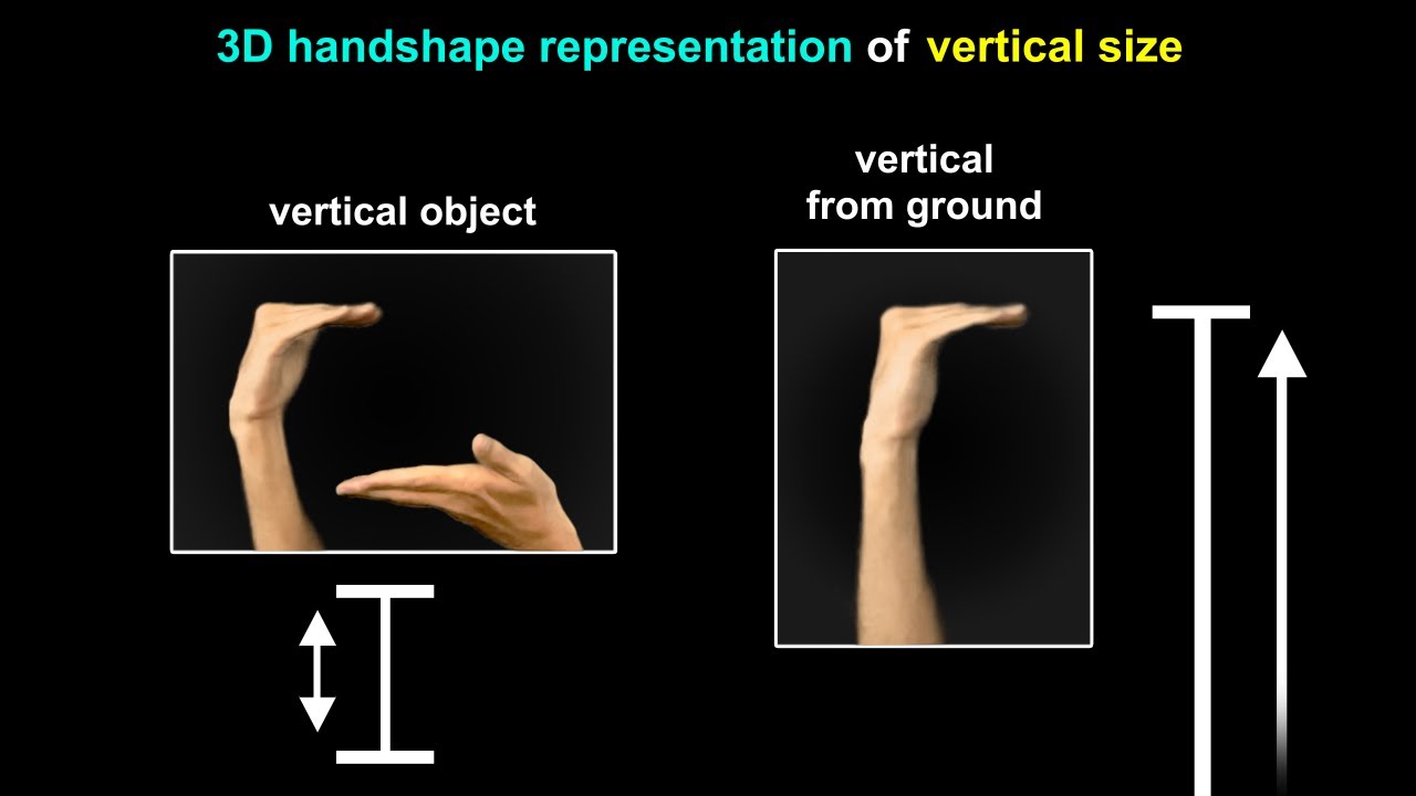 3D Size - YouTube