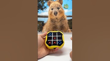 운수 좋은 날🤗❤️ #tictactoe #happy #puzzle #games #funny #wow #win #틱택토 #대결 #재미 #행복 #보드게임 #야호 #심심할때